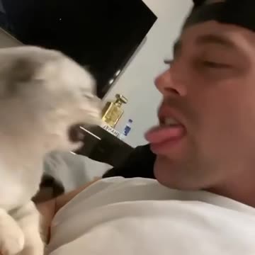 #meow_beauties #cutecat #funnycat #cat_killa