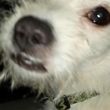 Salt King sees all in salty town