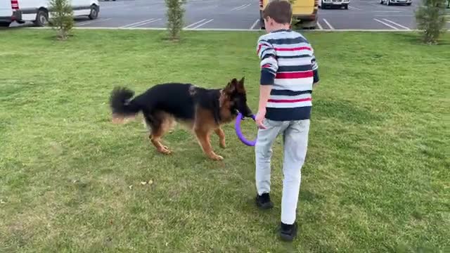 German Shepherd Puppy brings smiles to kids