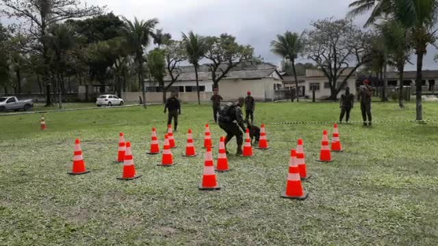 APRESENTAÇÃO DE CÃES DO EXÉRCITO - PARTE 2