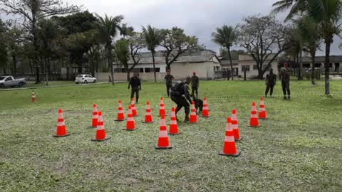 APRESENTAÇÃO DE CÃES DO EXÉRCITO - PARTE 2