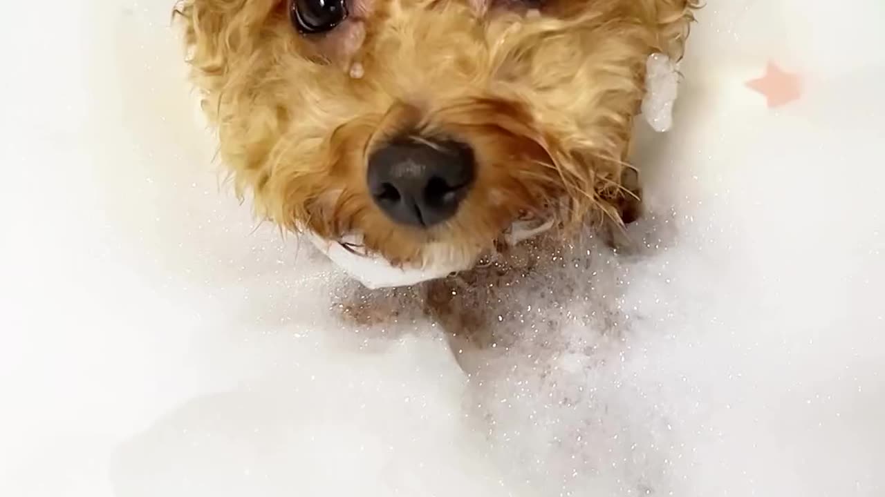 Bath Time