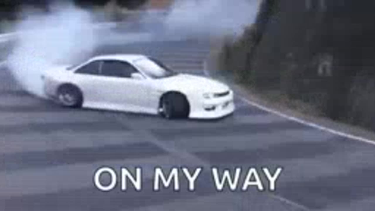 Funny cat videos