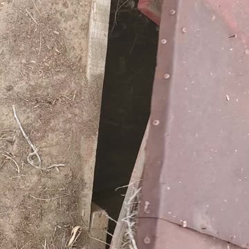 mysterious holes Where do they go