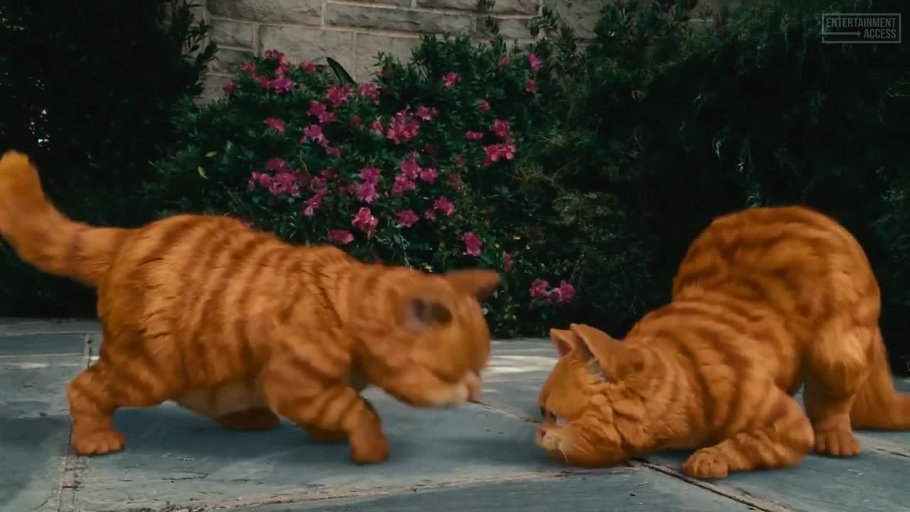 Royal Copycat Scene - GARFIELD 2 (2006) Movie Clip