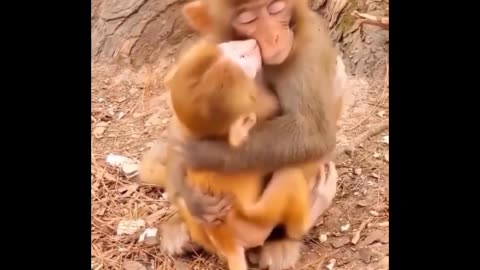 Cute mother love