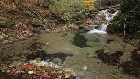 Water Stream pond