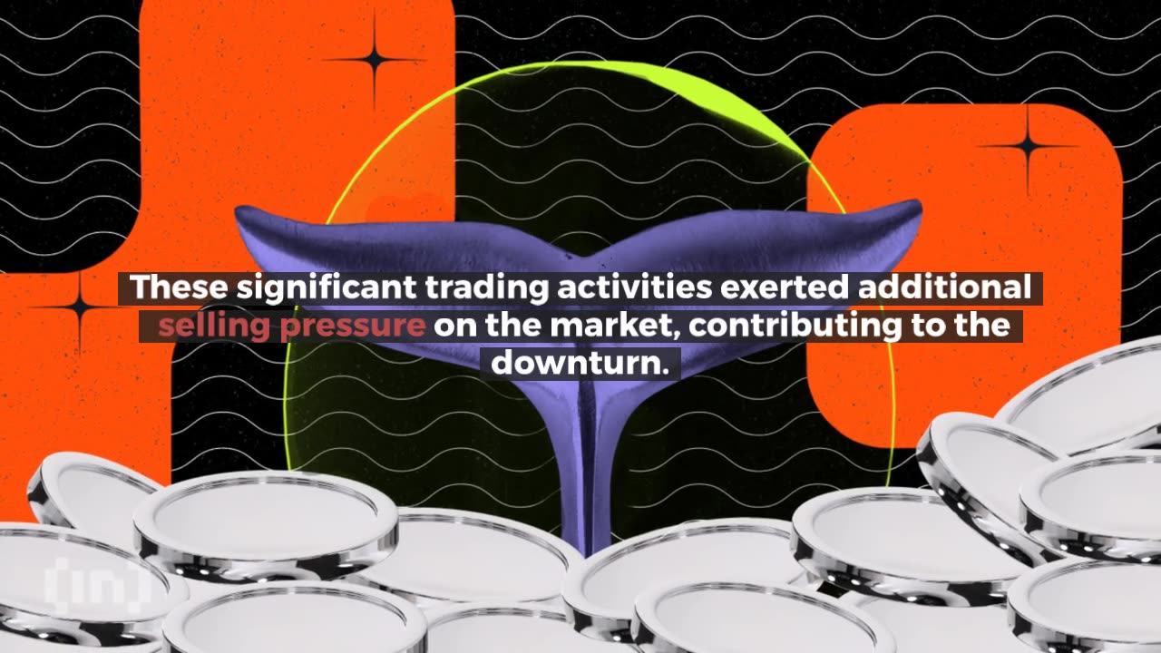 Crypto Whales Sold Holdings Before the Market Crash