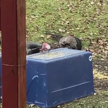 Year in review 2021 Derek Hunter Rumble