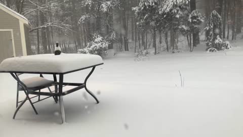 Boston Blizzard 2022 (24 Hour Time-Lapse of Snowstorm) #noreaster #blizzard #tim