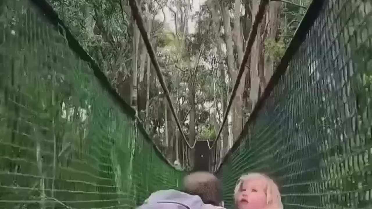 Monkey crossing bridge in style