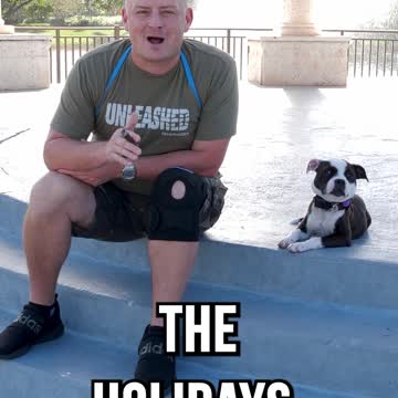 Was Your Thanksgiving a Nightmare with Your Dog?