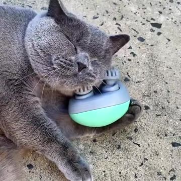 Electric Kitty Heaven