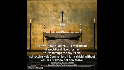 Divine Mercy Message for December 12, 2022