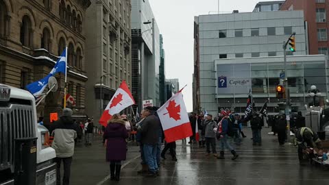 Freedom Convoy - Sending a loud message at PMO/Parliament - 2 Feb 22, 4:30pm