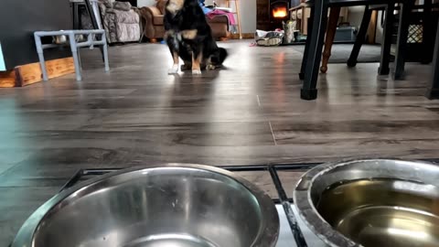 we eat again.