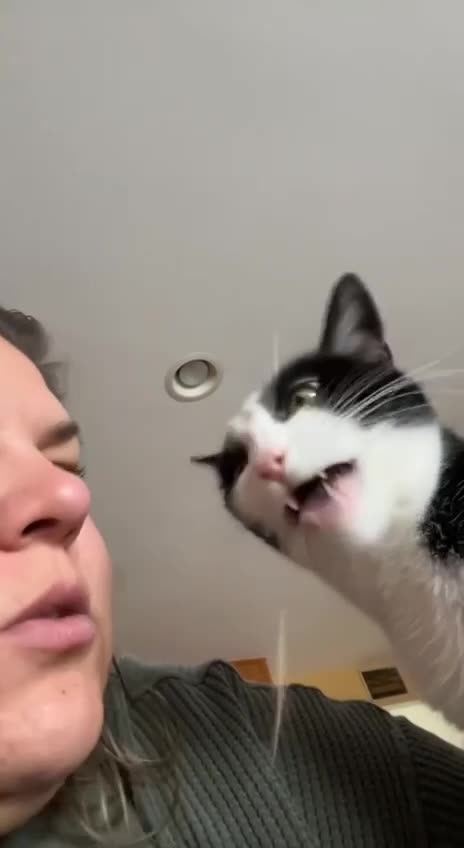 Those hi lights must have been tasty 😂