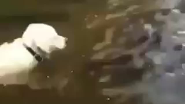 Now that was awesome