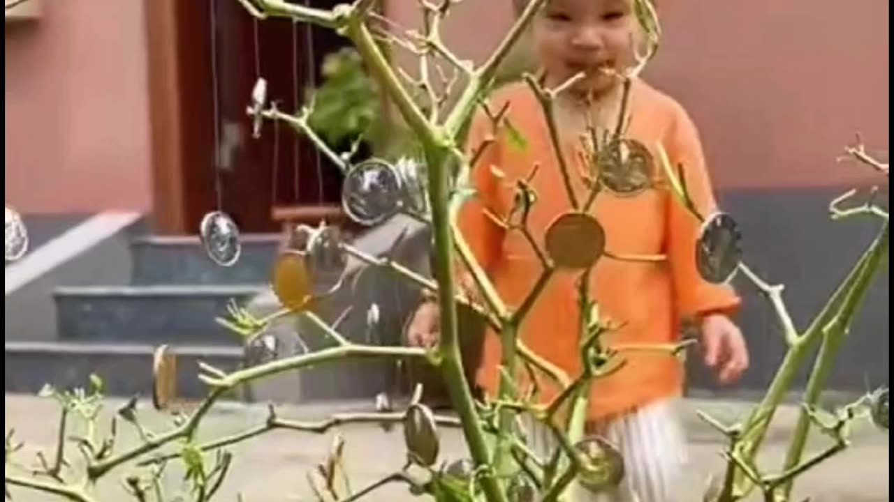 चिंटू ने लगाया पेसो का पेड़
