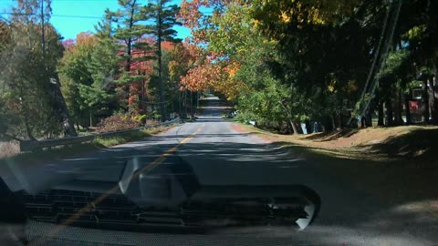 Fall Color Drive