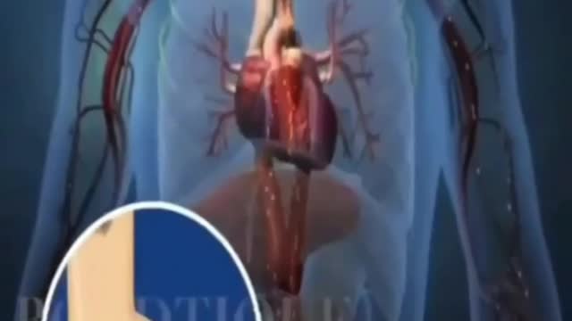 Trending funny video 5