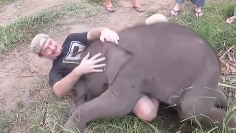 Girl Reunites With Pet Lion After 8 YEARS.