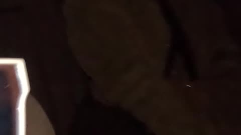 She tried catching me slip