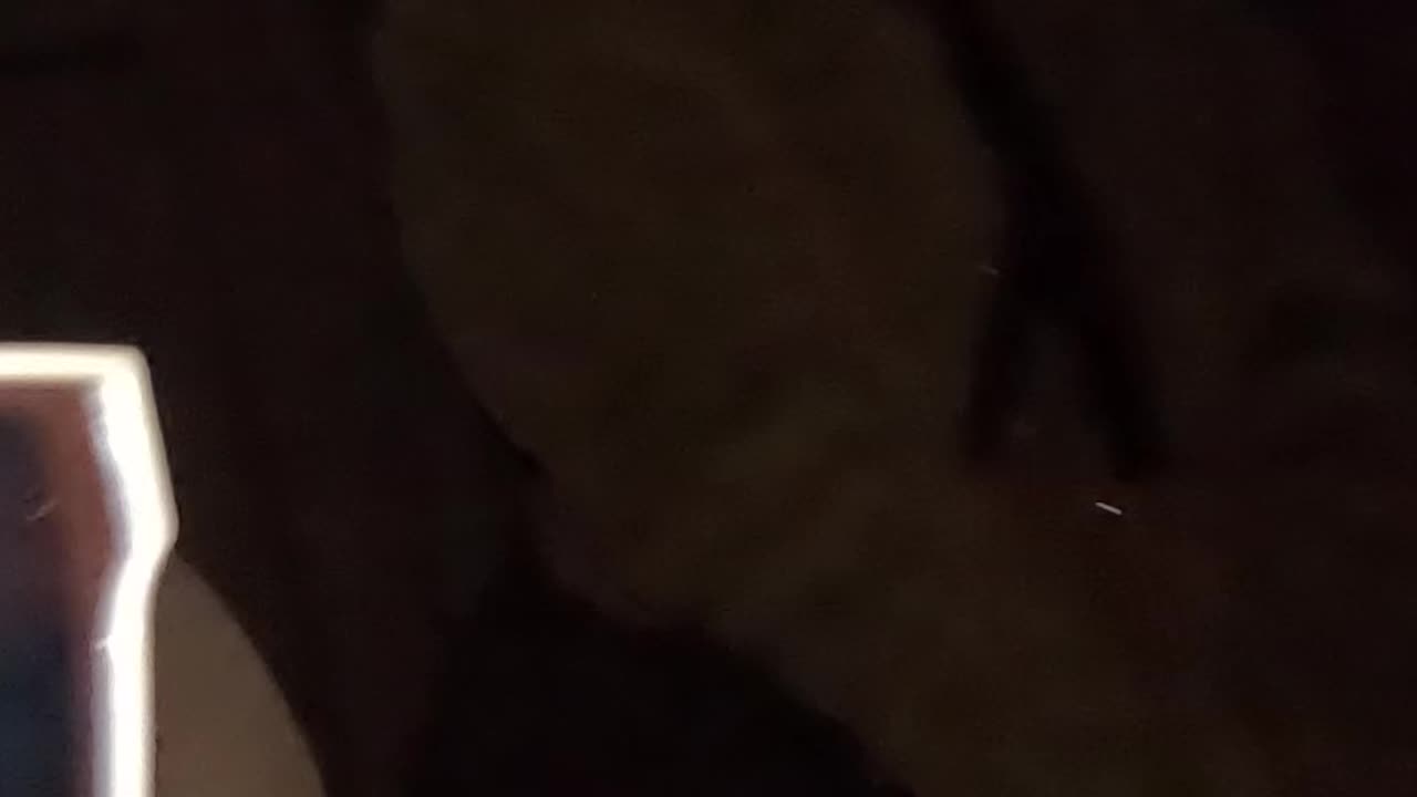 She tried catching me slip