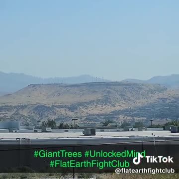Giant Petrified Tree Stumps
