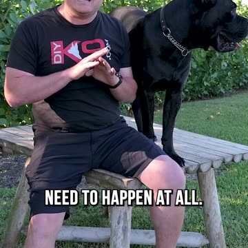 Stop Petting Strangers Dogs!