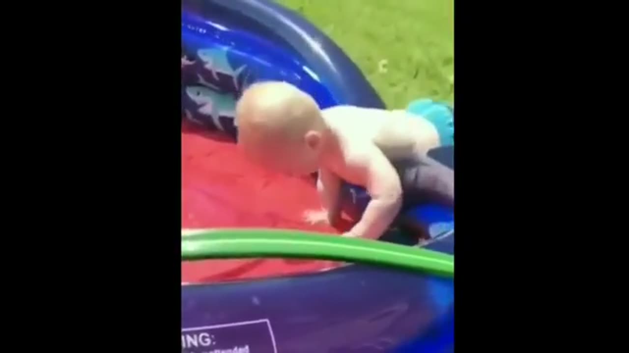 Funny baby videos