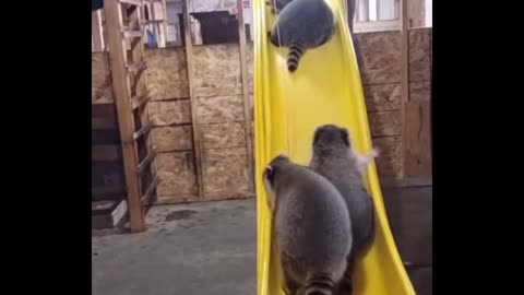 They enjoy themselves!!