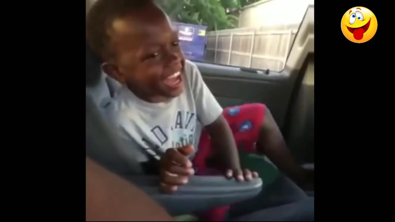 collection of funny video