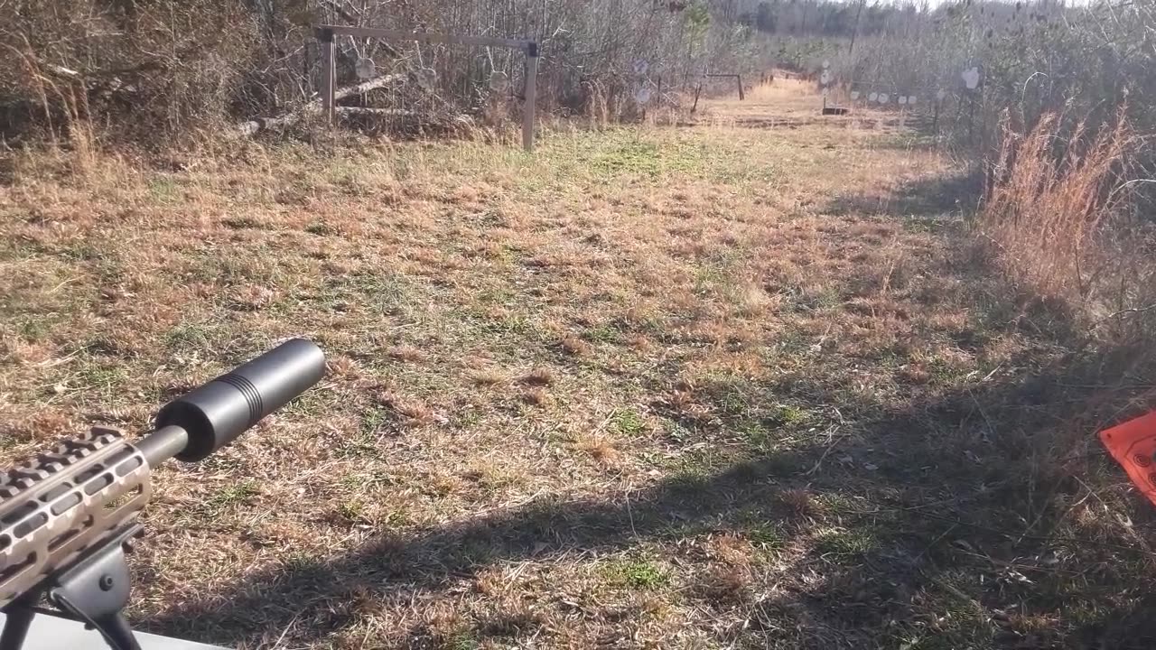 DMR build with Liberty Suppressors CONSTITUTION silencer