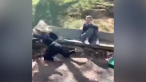 try not to laugh or grin watching funny clean vines