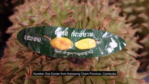 How To Cut A Durian - Amazing Durian Cutting Skills - Cambodian Street Food