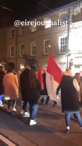 Irish people angry, after migrant tried breaking into a home and exposing himself