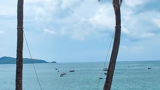 Swimming at the beach