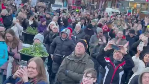 Freedom Protest in Belfast Yesterday over Mandates & restrictions