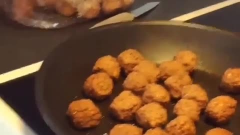 dog wants meatballs