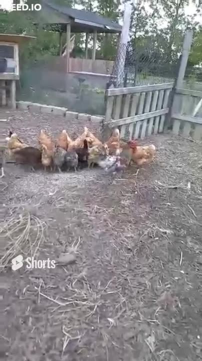 Rusty is good at his job