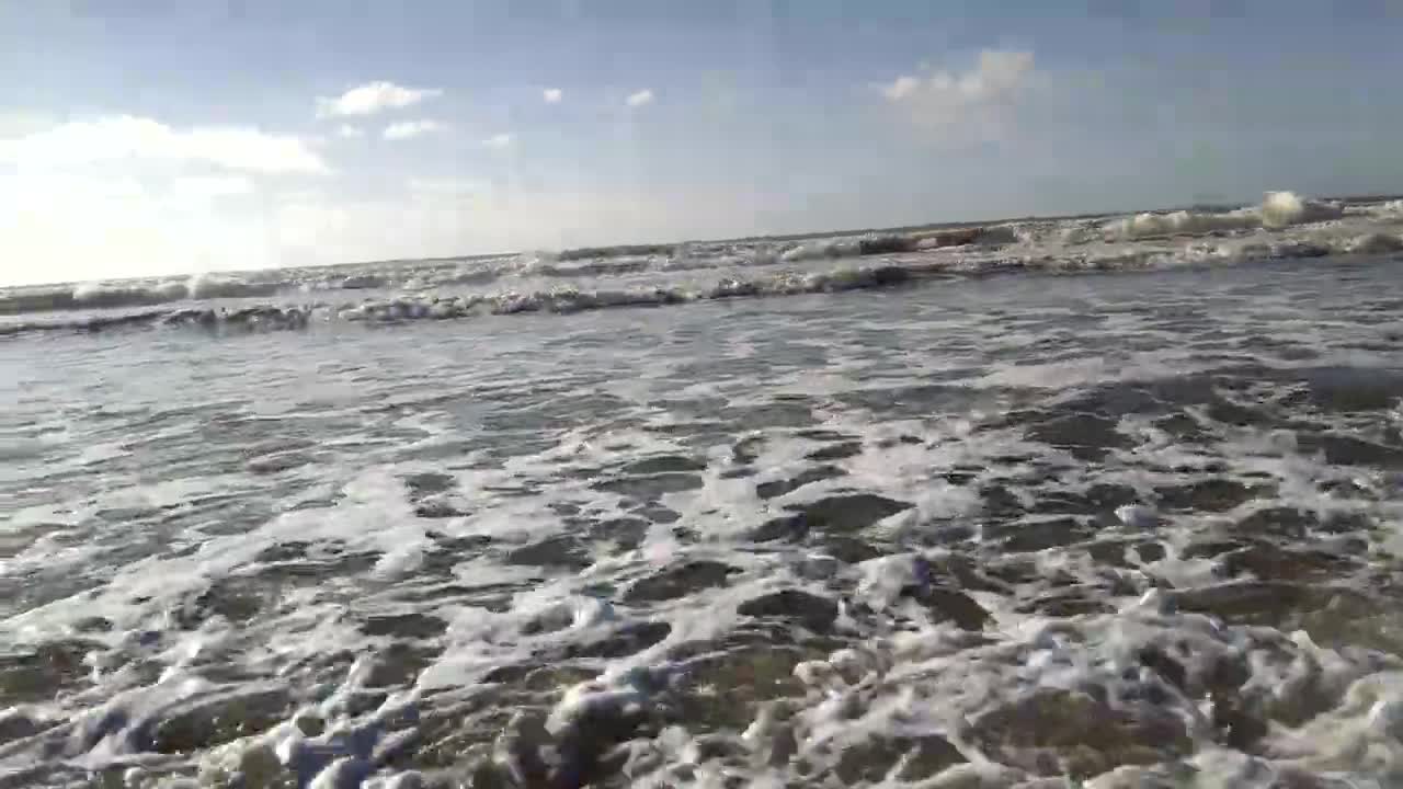 VID 20190303 074751966