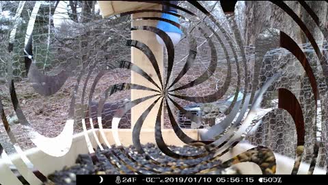 Long Bird Photo Slide Show January 2, 2020