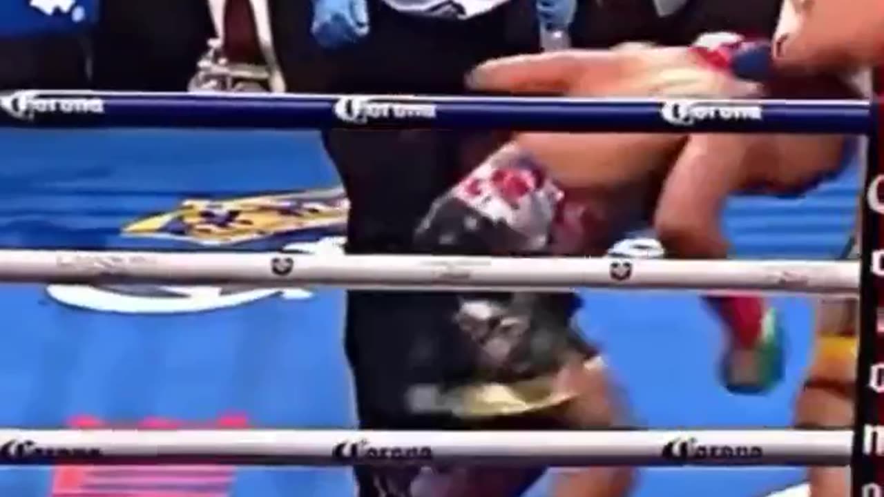 Steve Willis😂 the best boxing ref