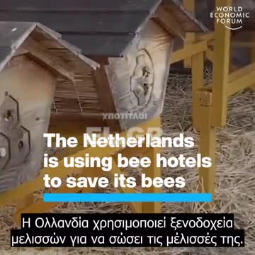 Ξενοδοχείο για μέλισσες