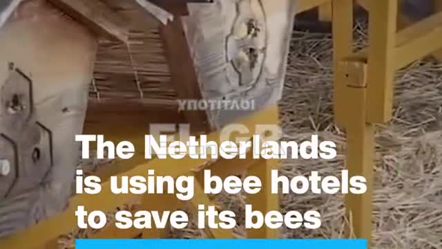 Ξενοδοχείο για μέλισσες