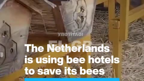 Ξενοδοχείο για μέλισσες