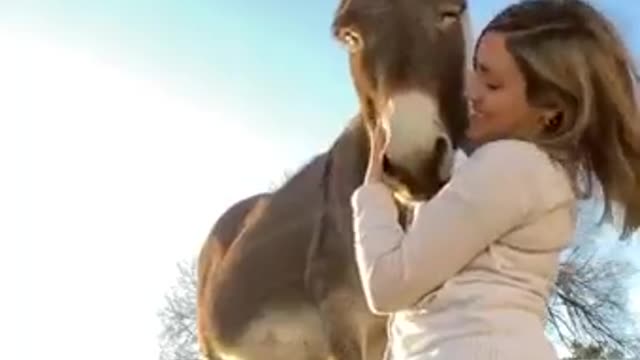 the girl loves the ass