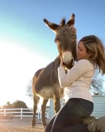 the girl loves the ass