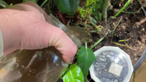 Can You Vacuum Seal Garden Seeds? Does It Extend The Life Of Your Seeds? | Gardening In Canada